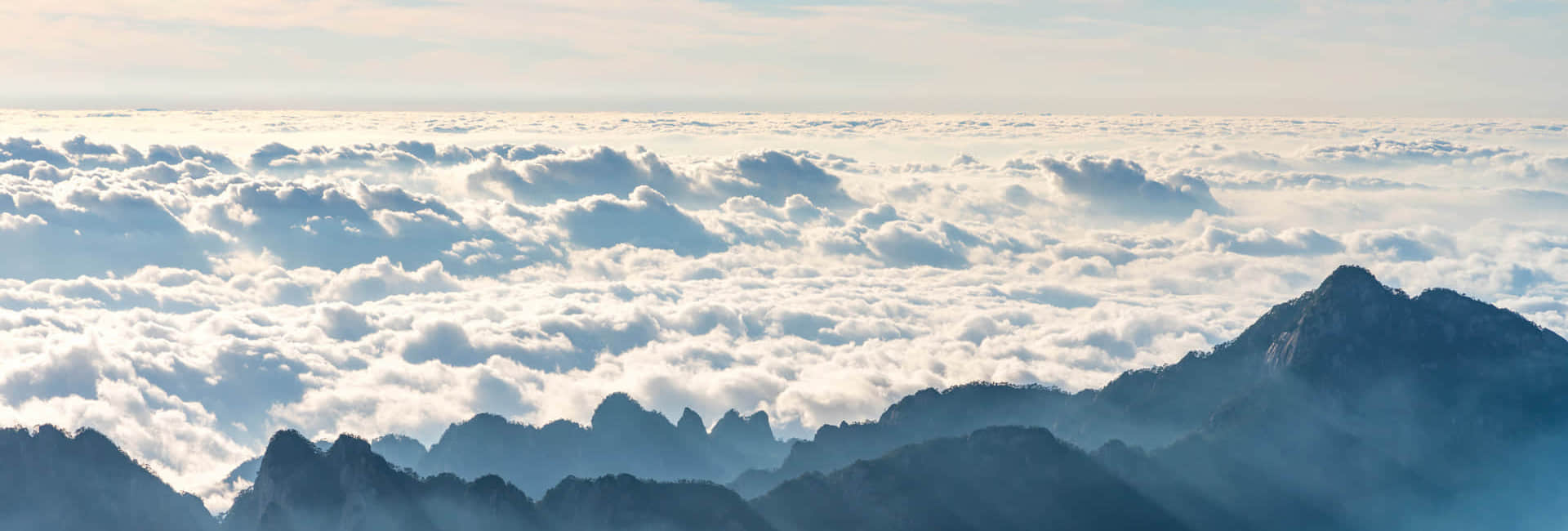 星空·(中国)电子官方网站简介